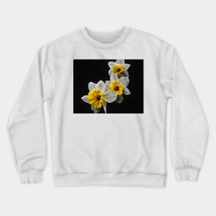 Daffodil Dream Crewneck Sweatshirt